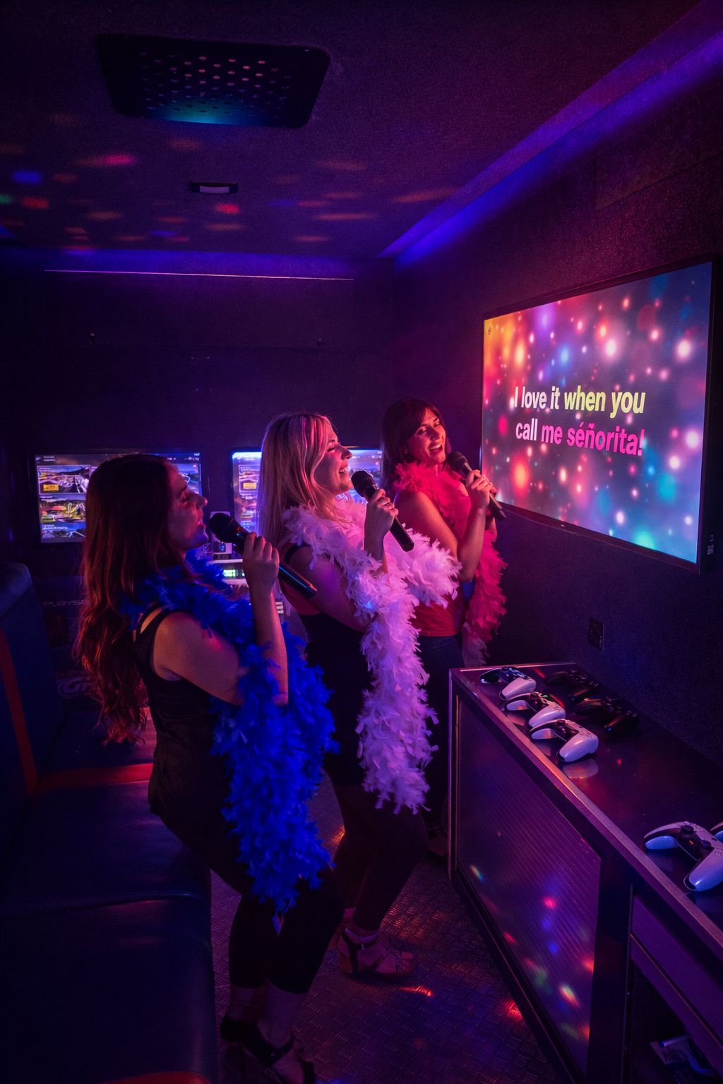 karaoke party experience